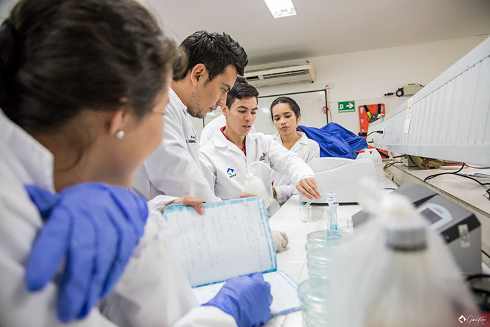 Equipo de trabajo química