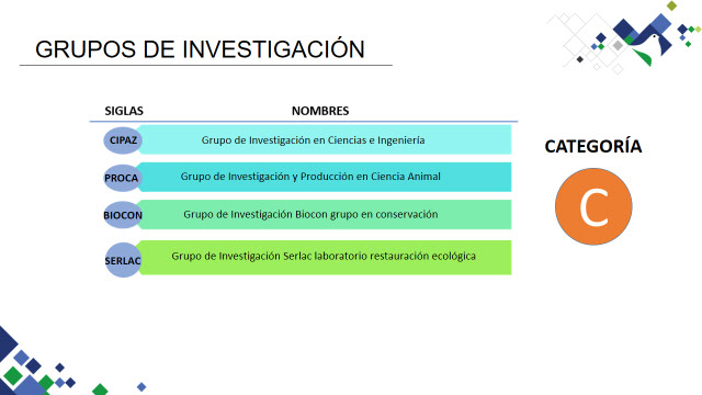 Grupos de investigación