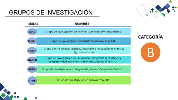 Grupos de investigación